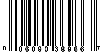 006090389667