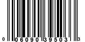 006090395033