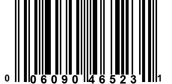 006090465231