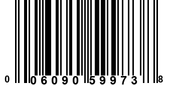 006090599738