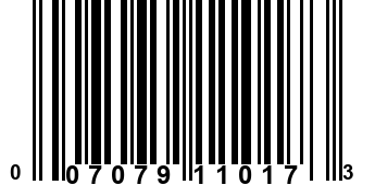 007079110173