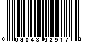 008043929173