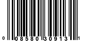 008580309131