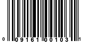 009161001031