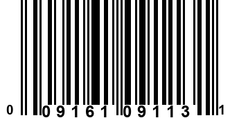 009161091131