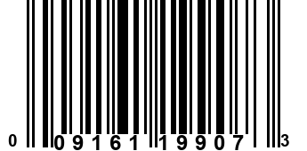 009161199073