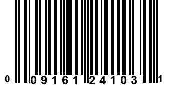 009161241031