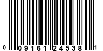 009161245381