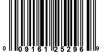 009161252969