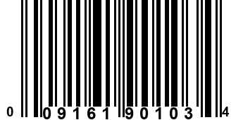 009161901034