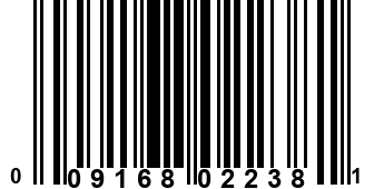 009168022381