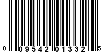 009542013325