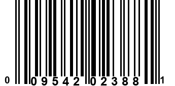 009542023881