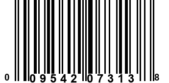 009542073138