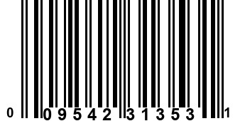 009542313531