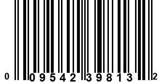 009542398132