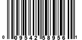 009542589561