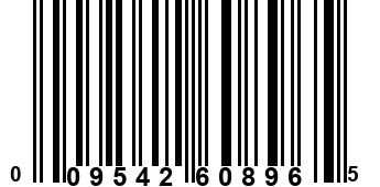 009542608965