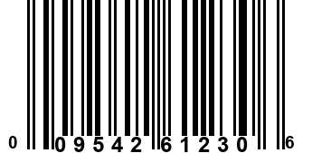 009542612306