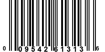 009542613136