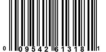 009542613181