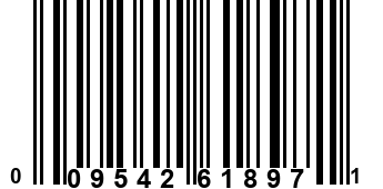 009542618971