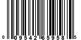 009542659585