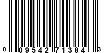 009542713843