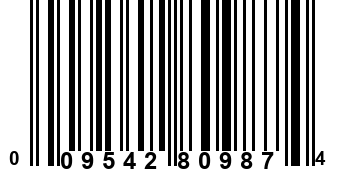 009542809874