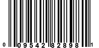 009542828981