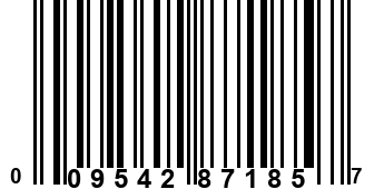 009542871857