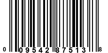 009542875138