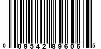 009542896065