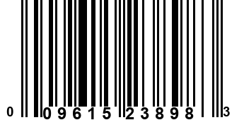 009615238983