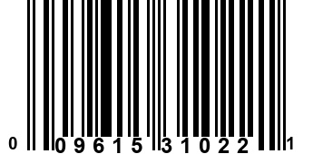 009615310221