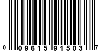009615915037