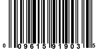 009615919035