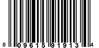 009615919134