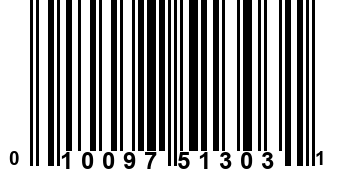 010097513031