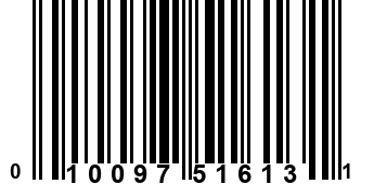 010097516131