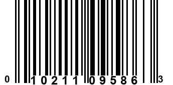 010211095863