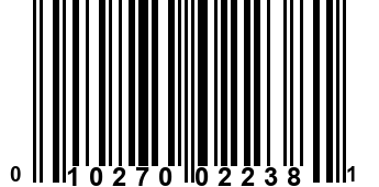 010270022381