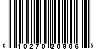 010270209065