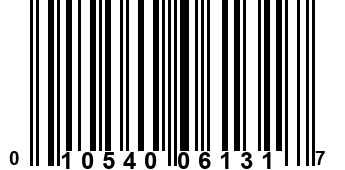 010540061317