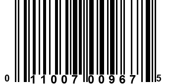 011007009675