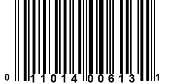 011014006131