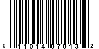 011014070132