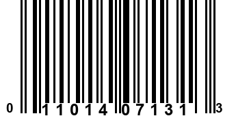 011014071313