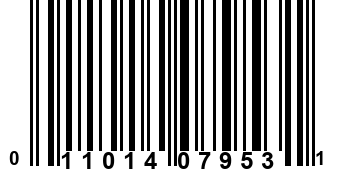 011014079531