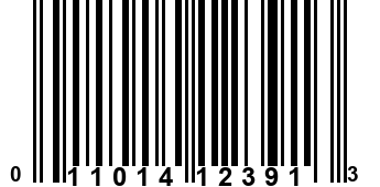 011014123913